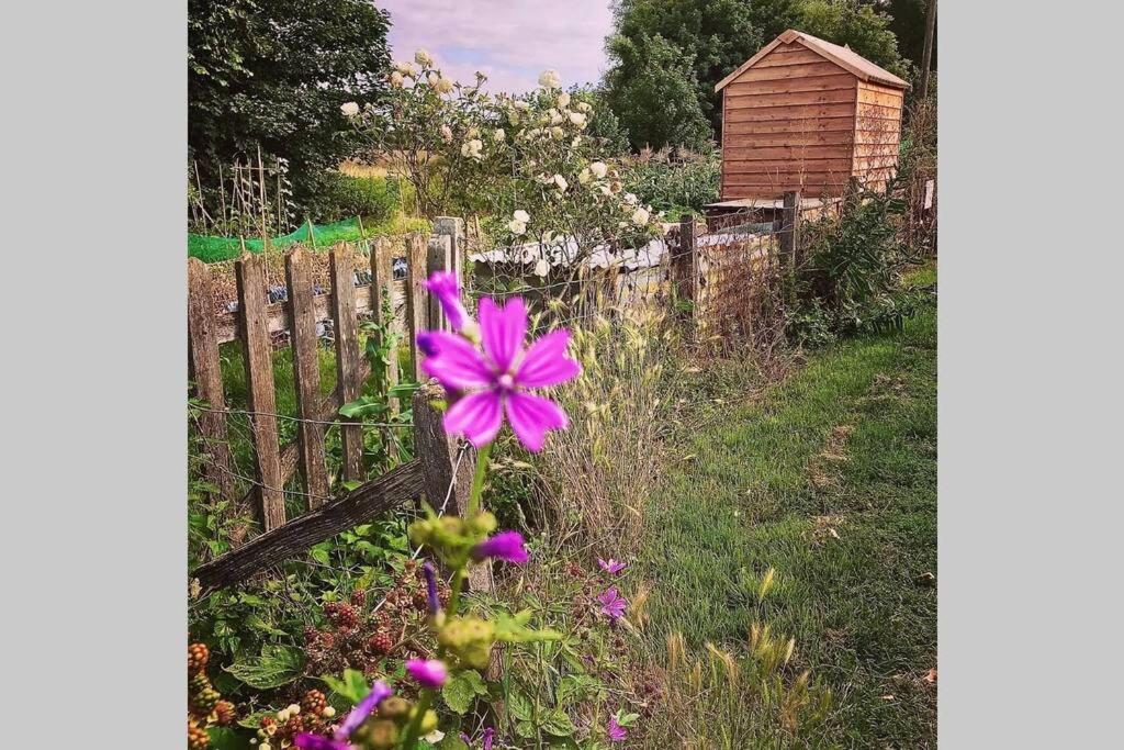 Melford Allotment Shed-vintage Suffolk *